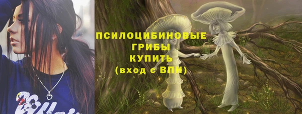 прущие крисы Беломорск