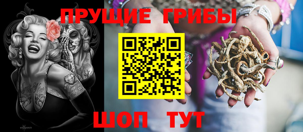 Краснокаменск  Галлюциногенные грибы MAGIC MUSHROOMS  Вход с VPN 