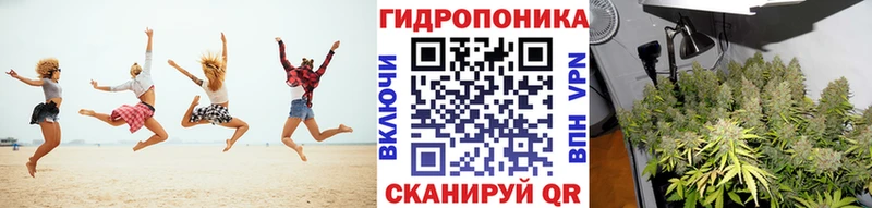 OMG онион  дарнет шоп  Краснокаменск  МАРИХУАНА THC 21% 